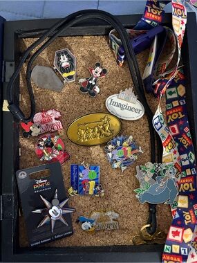 Disney Parks Pin Collection LE LR please look Mickey & rare jumbo✨✨